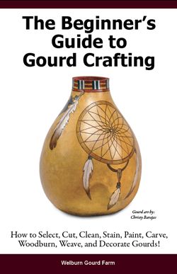 Gourd Art For Beginners, Decorating Gourds, Gourds Diy, Gourd Carving, Gourd Ideas, Gorgeous Gourds, Gourd Crafts, Tracing Lines, Pyrography Patterns