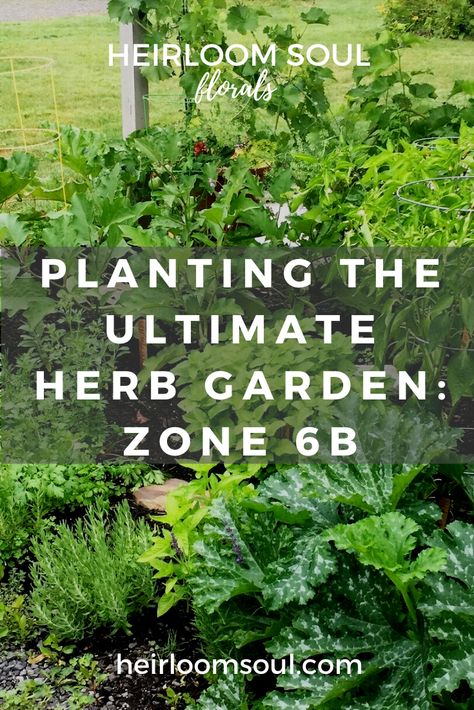 The Ultimate Herb Garden for Zone 6b — Heirloom Soul Florals - Wedding Florist and Flower Farm in Buffalo, NY WNY When To Plant Herbs, Herb Planting, Herbs To Plant, Full Sun Garden, Easy Herbs To Grow, Plant Herbs, How To Grow Herbs, Herb Plants, Planting Calendar