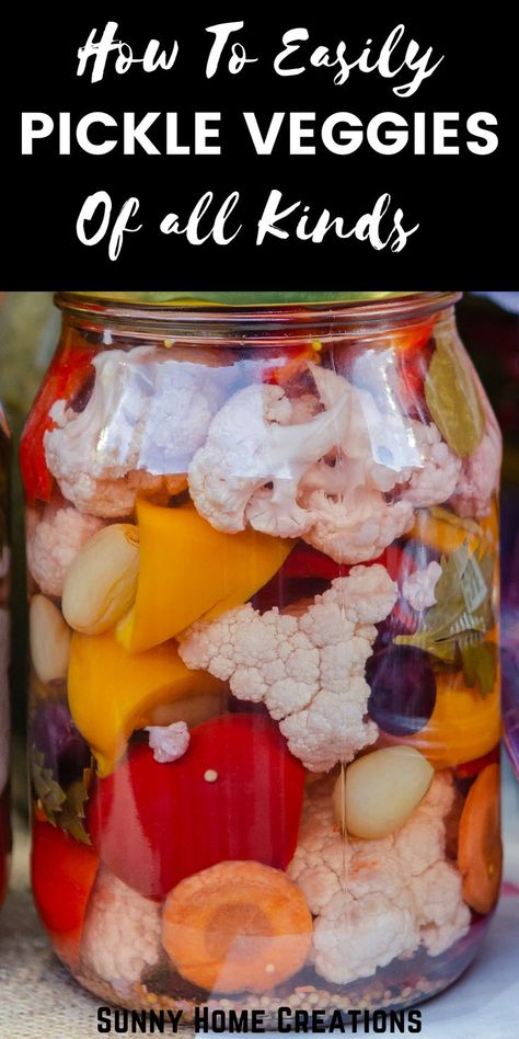 Fermented Pickled Beets, Veggies To Pickle, Pickled Mixed Vegetables Recipes For Canning, Hot Pickled Veggies, Mixed Pickles Canning Recipes, Pickles Veggies Recipe, Hot Pickled Vegetables, What Can You Pickle, Quick Fridge Pickled Vegetables