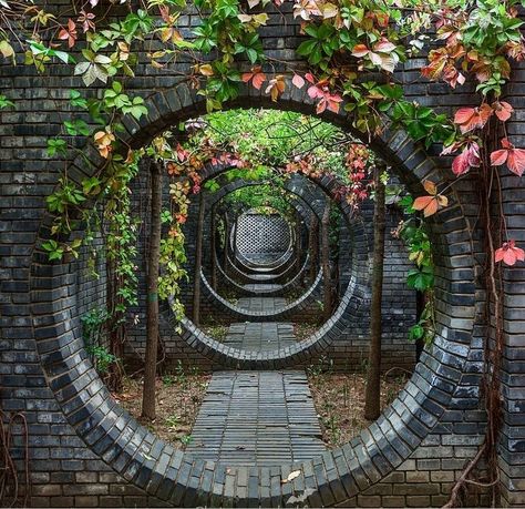 Photo Garden, Moon Gate, Photo Diy, Garden Bar, Garden Gates, Zen Garden, Garden Paths, Japanese Garden, Dream Garden