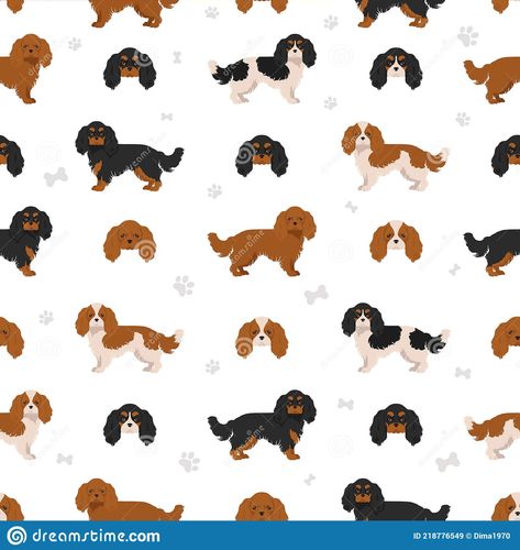 King Charles Illustration, Cavalier King Charles Spaniel Wallpaper, Cavalier King Charles Painting, Cavalier Illustration, Caviliar King Charles Spaniel, Cavalier King Charles Spaniel, Cavalier King Charles, King Charles, Color Set