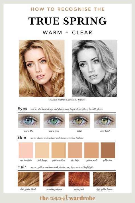 the concept wardrobe | Are you a True Spring? If you identify with these characteristics you most likely fall into the True Spring type of the seasonal colour analysis (PCA). If you want more information and examples of True Springs, click to read more. The Concept Wardrobe Spring, Concept Wardrobe True Spring, Spring Colour Analysis, Hair Color For Spring Skin Tone, True Spring Hair, True Spring Celebrities, True Spring Hair Color, Spring Color, True Spring Outfits