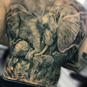 Elephant Family Tattoo, Family Tattoo Ideas, Backpiece Tattoo, Back Piece Tattoo, Family Tattoo, Back Piece, Elephant Tattoo, Side Tattoos, Elephant Tattoos