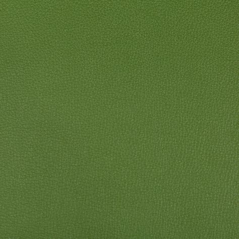 Syrus - Bonsai | Kravet Kravet Fabrics, Modern Vintage Decor, Fabric Houses, Leather Texture, Pattern Names, Green Fabric, Floral Fabric, Fabric Samples, Luxury Fabrics