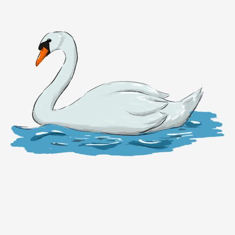 Swan Cartoon, Swimming Pool Drawing, Swimming Clipart, Swan Clipart, Water Cartoon, Goose Drawing, Water Clipart, Swan Swimming, Swan Decoration