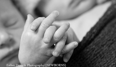 Focus on just the hands: | 34 Beautiful And Creative Photography Ideas For Twins Twins Photoshoot, Newborn Twin Photos, Twin Baby Photography, Creative Photography Ideas, Twin Newborn, Twin Pictures, Photoshoot Creative, Twin Photography, Foto Newborn