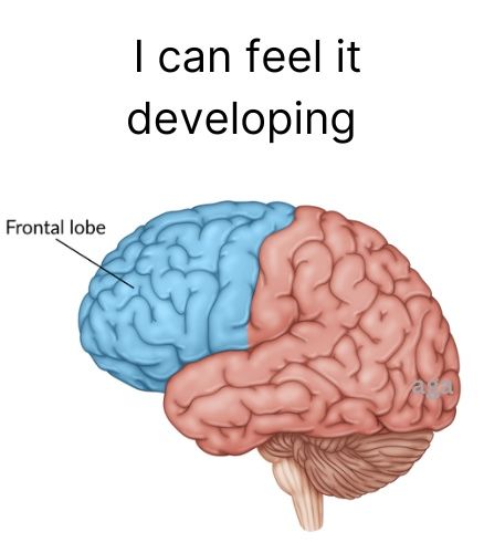 i can feel the brains frontal lobe developing Frontal Lobe Development, Brain Lobes, Chronically Online, Turning 25, Frontal Lobe, Inspirational Memes, Reaction Pic, Character Aesthetics, 2025 Vision