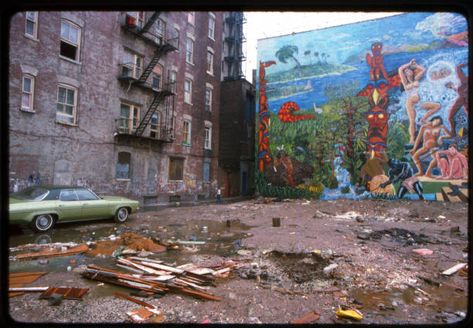 South Bronx 1970s, Bronx 1970s, 1970s Photos, Bodega Cat, Breathtaking Photography, Gordon Parks, New York Pictures, 70s Aesthetic, New York Aesthetic