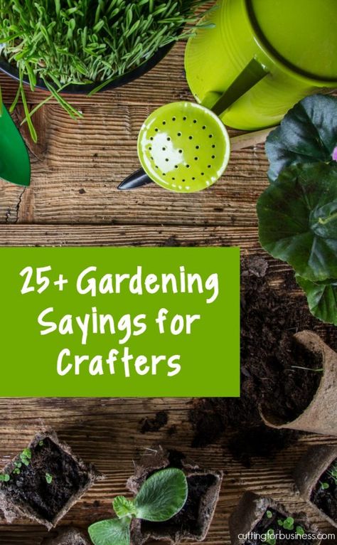 25+ Gardening Sayings for Silhouette Cameo or Cricut Explore Small Business Crafters - by cuttingforbusiness.com Gardening Sayings And Quotes, Small Signs Sayings, Garden Sayings And Quotes, Gardening Sayings, Quilted Pictures, Garden Signs Diy, Garden Sayings, Gardening Signs, Craft Sayings