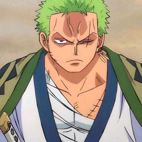 Roronoa Zoro Wano Arc, Zoro Wano Arc, Fem Zoro, Zoro Wano, Zoro Icons, Wano Arc, Piece Icons, Zoro Roronoa, One Piece Icons