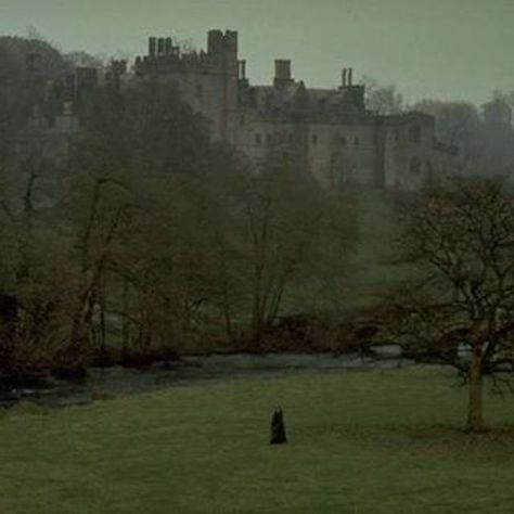 Jane Eyre Aesthetic, The Secret History Aesthetic, My Lady Jane, Imaginary Places, Bronte Sisters, Charlotte Brontë, Dark Castle, Gothic Novel, Aesthetic Dark Academia