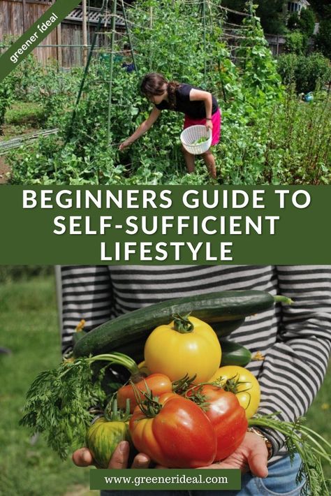 For some, a self-sufficient lifestyle is the dream and to be able to live off of their own land and resources would be a great accomplishment. But there are many ways to be able to live in a sustainable manner. Check out these simple tips to Successfully Operate and Maintain a Self-Sufficient Lifestyle. #Selfsufficient #ecofriendly #Sustainable #EcofriendlyLiving #GreenLivingTips #Sustainability #SelfsufficientLiving #EnvironmentFriendly #EcoLifestyle #Lifestyle #GreenLifestyle #GoGreen #Nature Self Sufficient Gardening, Selfsufficiency Living, How To Live Off The Land, Self Sustainable Garden, Living Off The Land Self Sufficient, Self Reliance Living, Self Sustaining Garden, Self Sufficient Home, Self Sufficient Garden