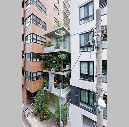 Ryue Nishizawa inserts a garden house in Tokyo’s urban fabric - Arquitectura Viva · Architecture magazines Fujimoto Architecture, Moriyama House, Tokyo Architecture, Tokyo Apartment, House Tokyo, Architecture Cool, Ryue Nishizawa, Japan Architecture, Plants Growing