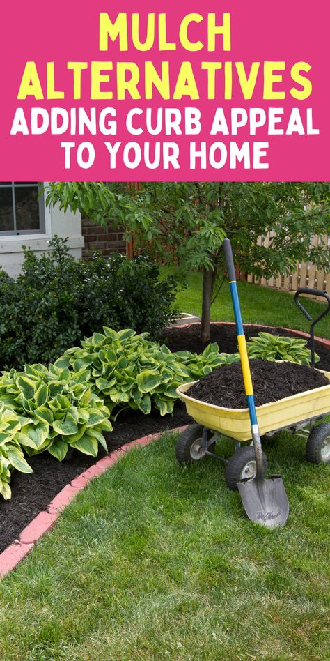 Mulch Bed Ideas Front Yards, Garden Curb Appeal, Landscape Curb Appeal, Porch Flower Pots, Porch And Patio Ideas, Porch Gardening, Curb Appeal On A Budget, Mulch Alternatives, Curb Appeal Landscaping