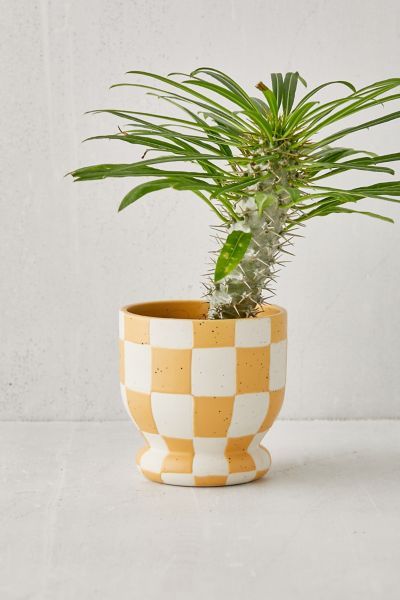 Funky Planters, Funky Eclectic Decor, Mustard Plant, Apartment Essentials, Spring Shower, Checkerboard Pattern, Eclectic Decor, Egift Card, Plant Life