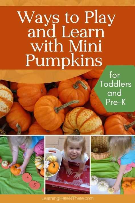 Pumpkin Activities Preschool, Pumpkin Crafts Preschool, Pumpkin Learning, Pumpkins Preschool, Activity Books For Toddlers, Toddler Themes, Pumpkin Activities, Fall Preschool Activities, Fall Kindergarten