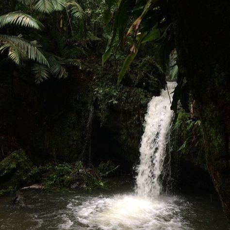 El Yunque Puerto Rico, Too Much Love, Forest House, Nature Girl, Dragon Age, Green Aesthetic, Nature Pictures, Mother Nature, Puerto Rico