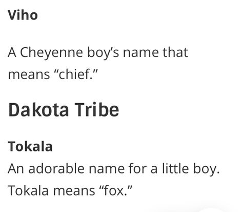 Native Names And Meanings, Native American Names, Exotic Names, Native American Decor, Best Character Names, Name Inspiration, Character Names, Boy Names, Names With Meaning