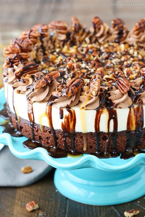 Turtle Brownie Cheesecake, Turtle Brownie, Dessert For Fall, Caramel Cheesecake Recipes, Turtle Cheesecake Recipes, Life Love And Sugar, Cheesecake Caramel, Caramel Pecan Cheesecake, Turtle Brownies