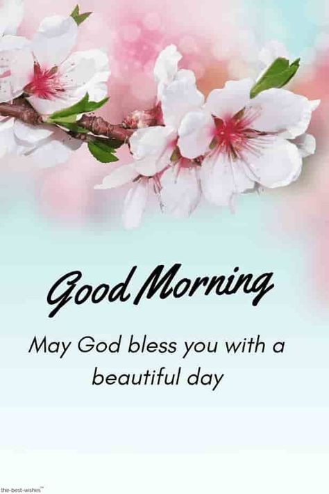 God is good today and everyday, how you experience His goodness all depends on your attitude throughout your day. 🌸🕊 God Bless Your Day, God Bless You Quotes, Beautiful Day Quotes, Good Morning Blessings, Bless You, Morning Sister, Morning Pic, Inspirational Good Morning Messages, Good Morning Motivation