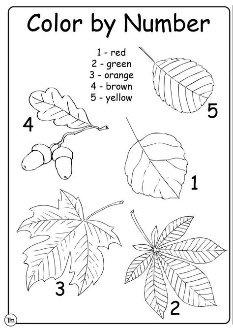 Free Fall Leaves Worksheets for Preschool and Kindergarten | TeachersMag.com Kindergarten Fall Worksheets, Fall Leaves Activities, Fall Preschool Worksheets, Leaf Printables, Fall Leaves Coloring Pages, Fall Worksheets, Leaf Craft, Autumn Leaves Craft, Preschool Fall