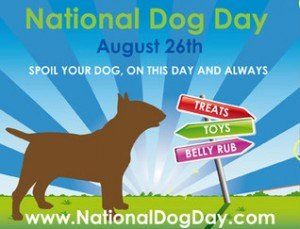 National Dog Day Quotes, Pet Lifestyle, Fun Facts About Dogs, Happy National Dog Day, National Dog Day, Talking Dog, Dog Day, Dog Facts, Puppy Mills