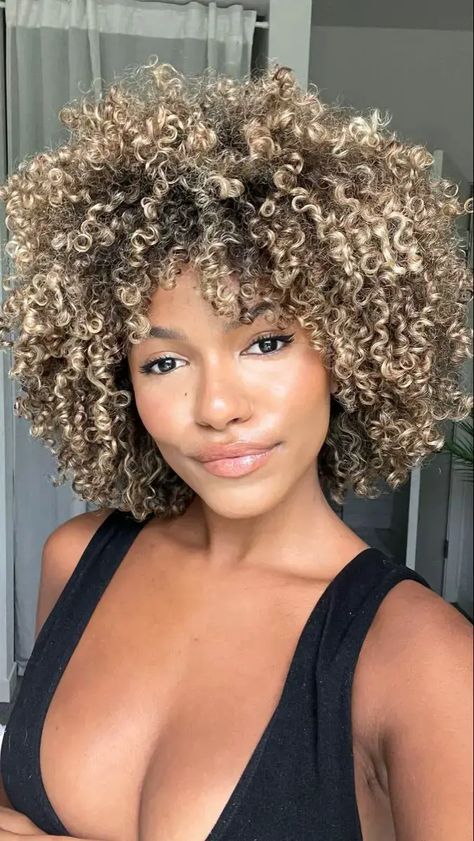 Brown Hair With Blonde Highlights Afro, Blond Curly Short Hair Black Women, Curly Fro Highlights, Highlights In Afro Hair, Curly Blonde Highlights Curls, Natural Hair With Blonde Tips, Curly Afro With Highlights, Short Curly Honey Blonde Hair, Blonde Hairlights Curly Hair