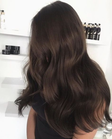 pinterest: chandlerjocleve instagram: chandlercleveland Coffee Brown Hair, Brown Hair Looks, Brown Hair Inspo, Bronde Hair, Brown Blonde Hair, Dark Brown Hair, Light Brown Hair, Hair Color Trends, Brown Hair Colors