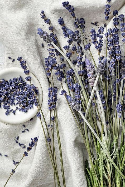 Lavender Soy Candle, Dried Lavender Flowers, Lavender Aesthetic, Plant Aesthetic, Dried Lavender, Lavender Flowers, Purple Aesthetic, Flower Wallpaper, Pretty Flowers