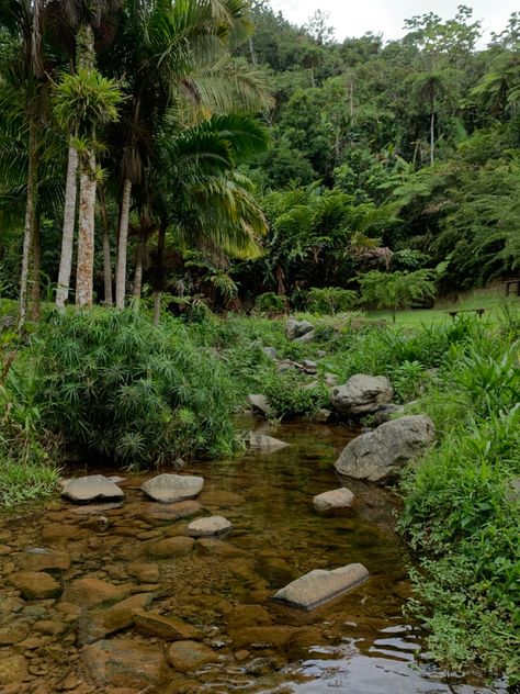 Abandoned Island Aesthetic, Fantasy Island Aesthetic, Stranded On An Island Aesthetic, Deserted Island Aesthetic, Atlantis Aesthetic, Island Forest, Abandoned Island, Collection Moodboard, Forest Island