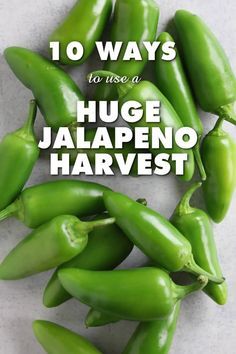 Pepper Harvest, Hot Pepper Recipes, Canned Jalapenos, Chili Pepper Recipes, Jalapeno Jelly, Jalapeno Pepper, Jalapeno Recipes, Hot Sauce Recipes, Harvest Recipes