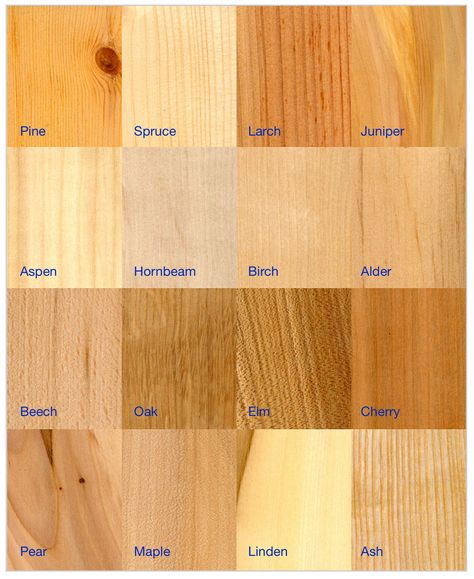 Wood Types For Furniture, Wood Colors Chart, Wood Types Chart, Wood Tones That Go Together, Types Of Wood Cabinets, Farmhouse Dining Room Paint, Dining Room Paint Color Ideas, Paint Dining Room, Dining Room Paint Color