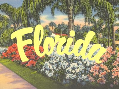 Florida by Joe Horacek Florida Nostalgia, Retro Postcards, Retro Florida, Florida Postcard, Winter Haven Florida, Sunny Disposition, Florida Design, Florida Girl, Visit Florida