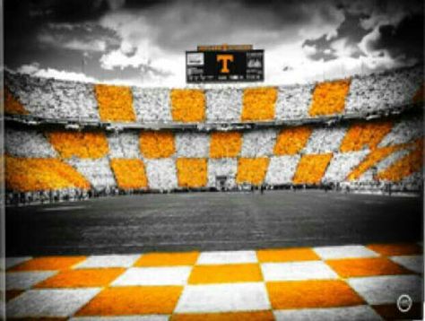 Orange And White Checkerboard, Tennessee Volunteers Football, Tennessee Girls, Tn Vols, Kobe Bryant Pictures, Go Vols, Sharp Photo, Tennessee Football, Rocky Top