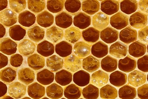 fermenting honey Trend Board, Van Dyne, Yellow Aesthetic, + Core + Aesthetic, Bees Knees, Fermenting, Milk And Honey, Mellow Yellow, Dragon Age