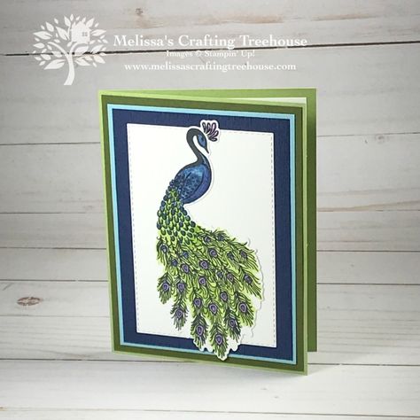 Fun Fold Card Ideas with Garden Lane - Melissa's Crafting Treehouse Stampin Up Royal Peacock, Diy Stamp Pad, Royal Peacock, Card Making Ideas Easy, Tag Ideas, Card Folds, Group Projects, Wink Of Stella, Color Challenge