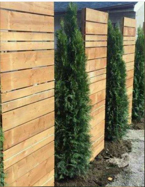 Best Privacy Fence, Privacy Fence Ideas, Yard Privacy, Outdoor Interior, Privacy Fence Designs, Privacy Landscaping, Sugar Hill, Backyard Privacy, Privacy Fences