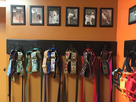 Collar & leash organization Dog Collar And Leash Organization, Dog Collar Organization, Grooming Organization, Leash Organization, Gear Organization, Pets Stuff, Pet Station, Kennel Ideas, Diy Dog Crate