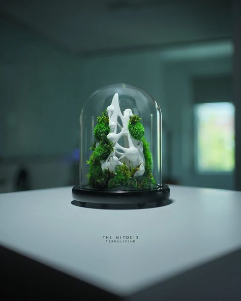 3D Printed Mitosis Sculpture in a terrarium by TerraLiving Ecological Architecture, Eukaryotic Cell, 3d Printing Art, Terrarium Decor, Mini Plants, Resin Sculpture, Design Concept, 3d Print, Terrarium