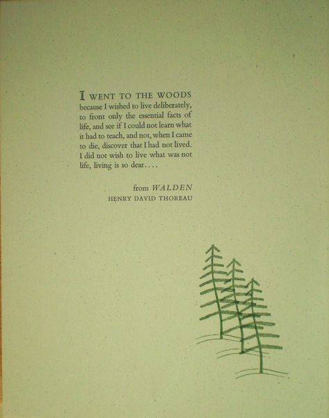 Henry David Thoreau Quotes, Walden Pond, The Minimalists, Thoreau Quotes, Provoking Quotes, Nature Words, Thought Provoking Quotes, Education Humor, Henry David Thoreau