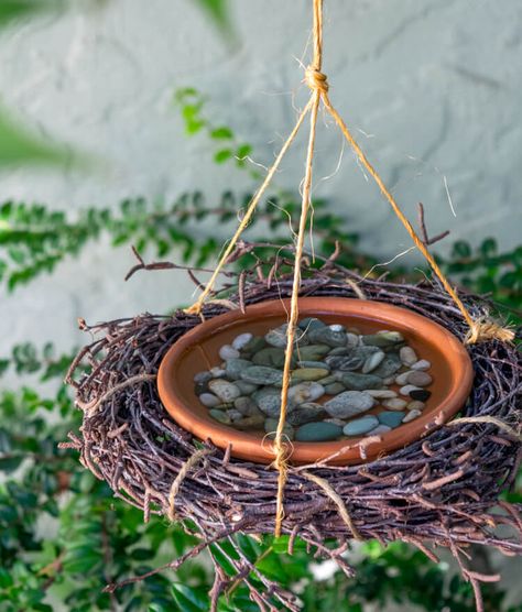 Terra cotta saucer with pebbles and water hanging from twig wreath Bird Bath Ideas, Hanging Bird Bath, Easy Bird, Diy Bird Bath, Twig Wreath, Bath Ideas, Backyard Birds, Garden Cottage, Bird Garden