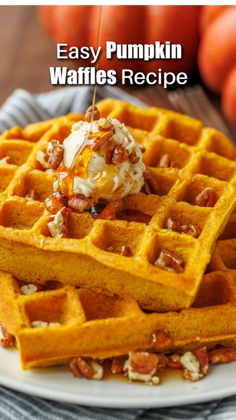 These Pumpkin Waffles with whipped honey butter, toasted pecans, and a drizzle of maple syrup are a delicious and cozy start to Fall mornings. Fall Waffle Recipes, Mini Pumpkin Waffles, Pumpkin Waffles Recipe Easy, Waffle Recipe Pumpkin, Pumpkin Spice Waffles Easy, Pumpkin Pecan Waffles, Pumpkin Spice Protein Waffles, Fall Waffles, Paleo Pumpkin Waffles