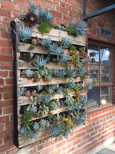 Succulent Pallet Wall, Pallet Garden Walls, Garden Ideas For Small Spaces, Vertical Garden Wall Planter, Kaktus Dan Sukulen, Succulent Garden Ideas, Vertical Succulent Gardens, Pallet Projects Garden, Diy Farmhouse Style