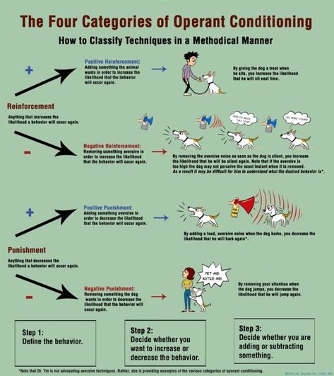 The Four Categories of Operant Conditioning | ZooSnippets Aba Strategies, Classical Conditioning, Bcba Exam, Ap Psych, Ap Psychology, Operant Conditioning, Behavioral Psychology, Dog Body Language, Reactive Dog