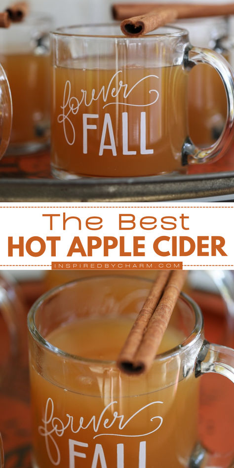 Warm up your holidays with our easy-to-make homemade hot apple cider! This flavorful hot apple cider recipe is perfect for cozy gatherings and festive celebrations. It’s a delightful addition to your holiday drink recipes to impress friends and family! Homemade Hot Apple Cider Recipe, Apple Cider Red Hots, How To Make Hot Cider, Apple Cider With Red Hots, Hot Apple Cider Recipe Crockpot, Apple Cider Bar Ideas Fall, Crockpot Hot Apple Cider, Warm Apple Cider Recipe, Hot Cider Bar