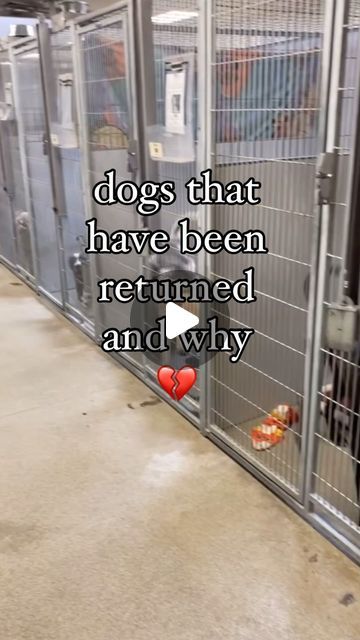 West Valley Animal Shelter on Instagram: ".
.
.
.
We want to find great matches and ideal homes for each pet. 
But it’s absolutely devastating to see them being walked up to the return door. 
Can you imagine how heartbreaking it is to walk them back into the building? Let alone back into their shelter kennel? 

They are confused. They are heartbroken. And we absolutely hate it. 
Come heal some broken hearts by adopting ❤️‍🩹 
PS. Yogi is now our longest stay at 160+ days." Dog Shelter Ideas, Dog Rescue Facility, Dog Shelters, Dog Shelter, Broken Hearts, Puppy Adoption, Baby Puppies, Shelter Dogs