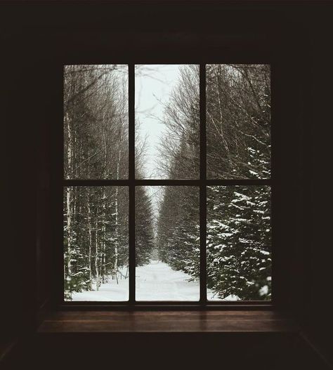 Mamiya 7, Winter Windows, Snowy Window, Magic Window, Winter Fireplace, Cabin Windows, Snowy Cabin, Winter Moodboard, Cabin Aesthetic