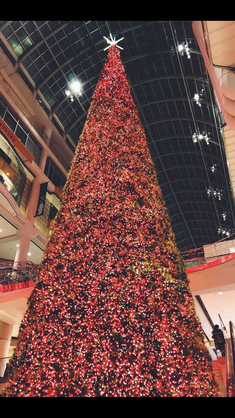 Giant Christmas tree at Eaton Centre #christmastree #Downtown #Toronto #EatonCentre Downtown Christmas, Giant Christmas Tree, Eaton Centre, Downtown Toronto, Toronto, Christmas Tree, Holiday Decor, Christmas, Quick Saves