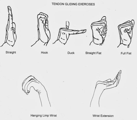 World of occupational therapy: Nerve and Tendon Gliding Exercise Nerve Glides, Hand Therapy Exercises, Carpal Tunnel Exercises, Ulnar Nerve, Physical Therapy Assistant, Occupational Therapy Assistant, Wrist Exercises, Occupational Therapy Activities, Therapy Exercises