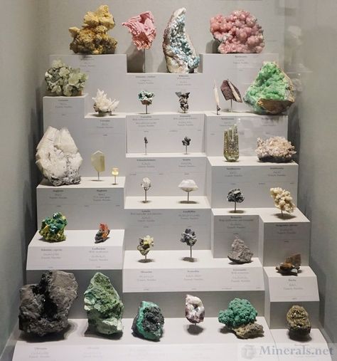 Mineral Collection Display, Rock Collection Storage, Crystal Collection Display, Rock Collection Display, Museum Display Cases, Future Decor, Crystal Room Decor, History Exhibition, National Museum Of Natural History